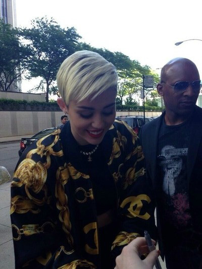 Wpis mileycrus