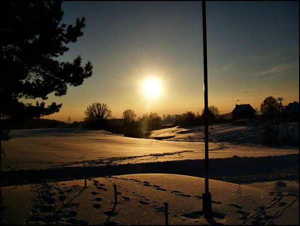 alestare.zima