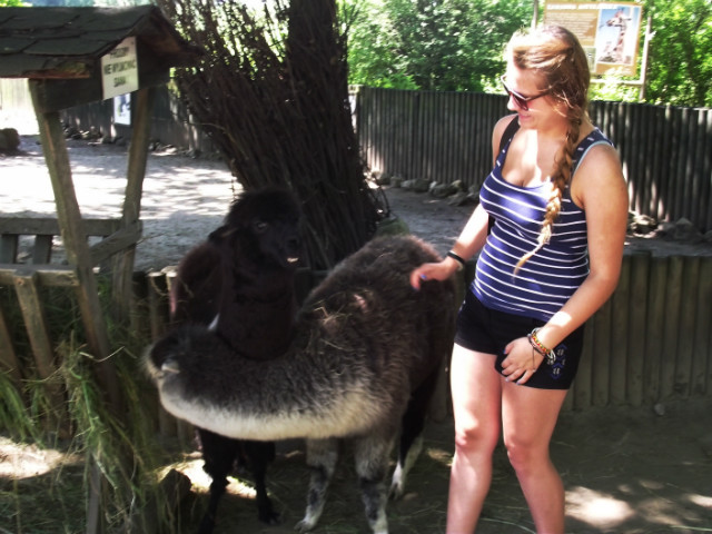 ZOO