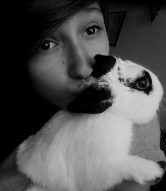 Wpis cysiaaaax3
