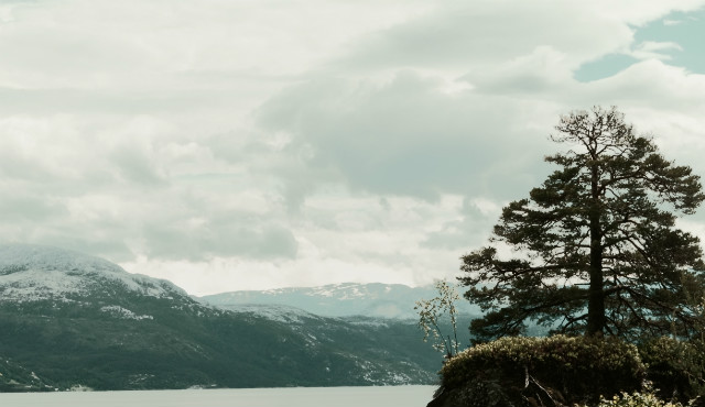 Norweski krajobraz