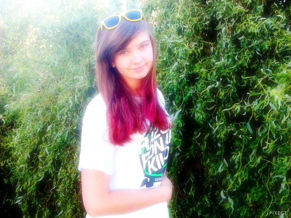nic ;d