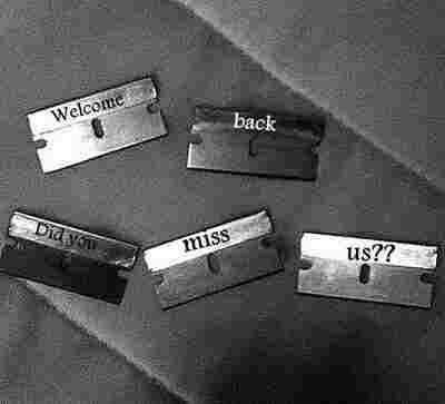 Wpis xness
