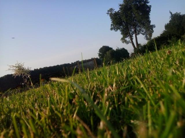 Wpis sprzedacsiebie
