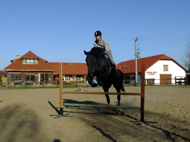 Wpis kopytox3
