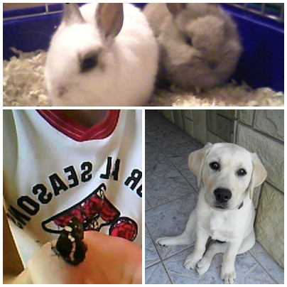 3 piekne dni ;d