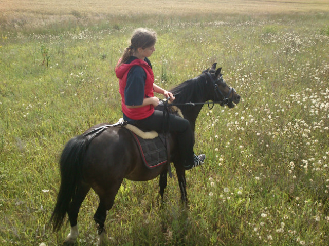 Bolek ;***