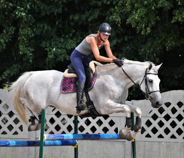 Wpis onlyhorse94