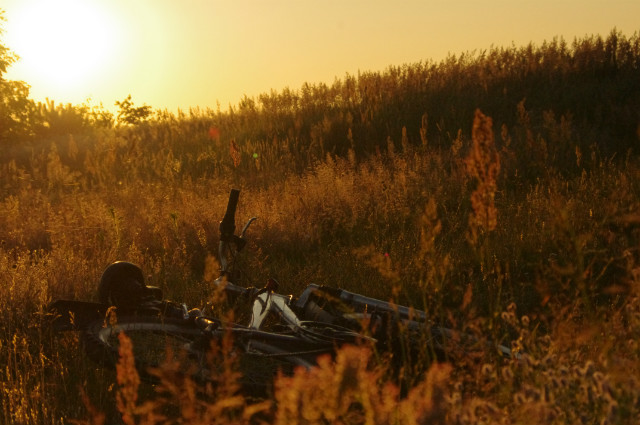 Wpis wilderness24