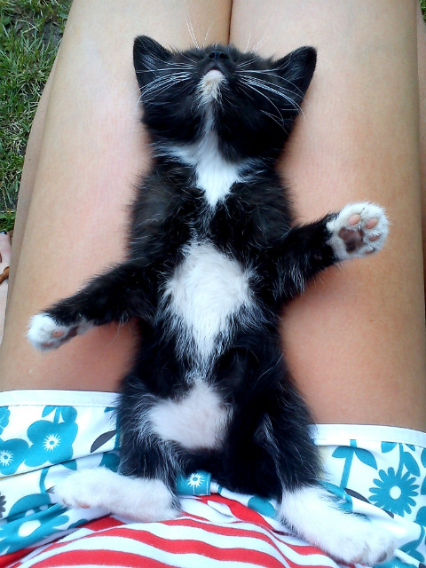 :3