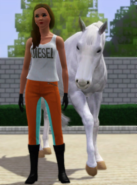 Wpis horsestime23