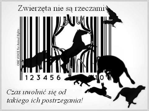 tak