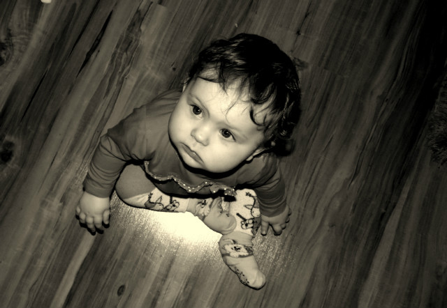 Sodziak . ;* ! 