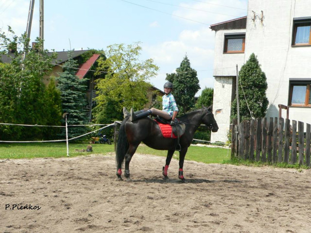 Szalestwo :D