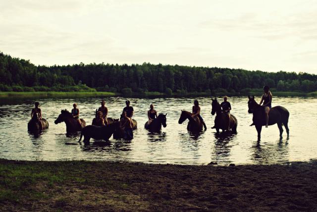Wpis xcandyhorsesx