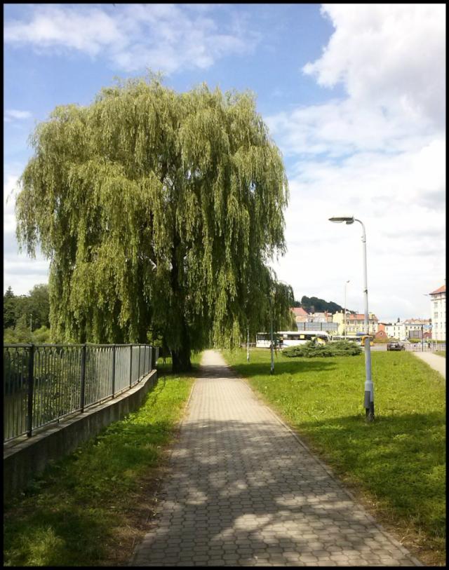 Wpis krainamarzen2112