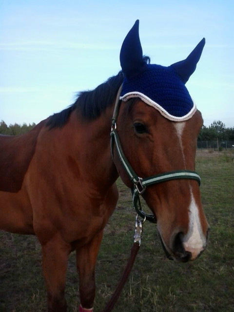 Dere. :* 