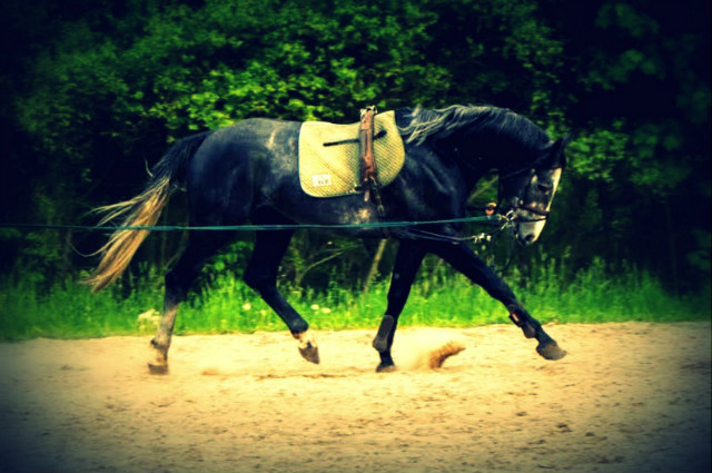 Siwusek:)