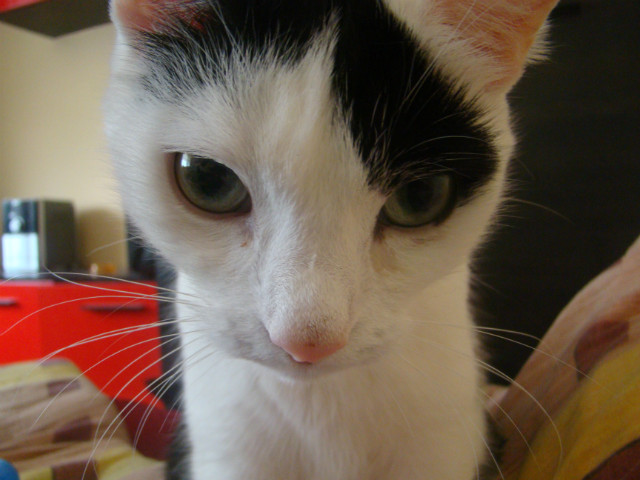 Afik :3