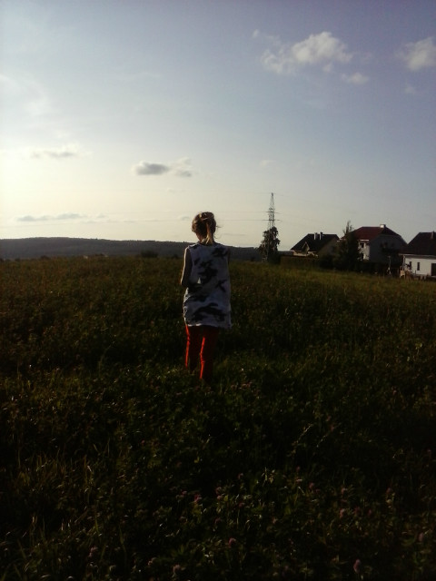 roda.