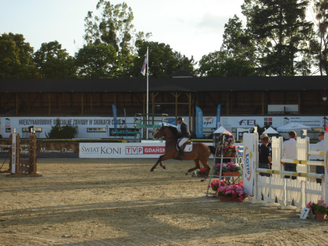 CSIO 2013