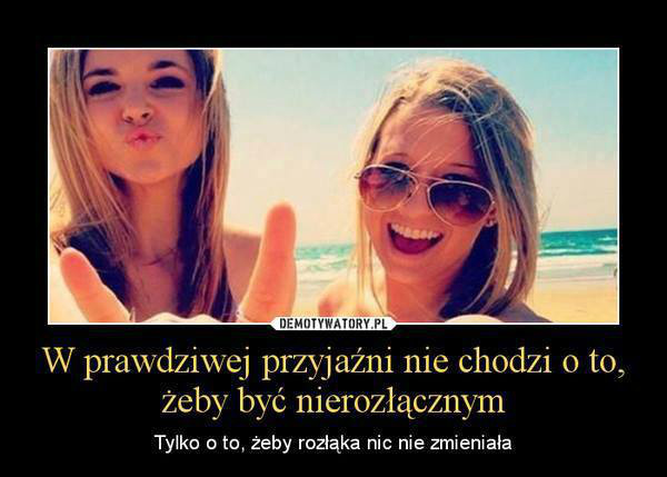 Wpis szarokolorowa123