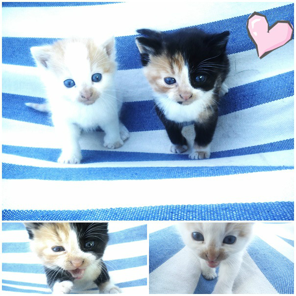 :3