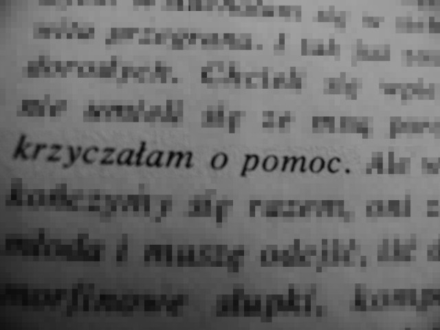 Wpis chociazjedenkrokdotylu