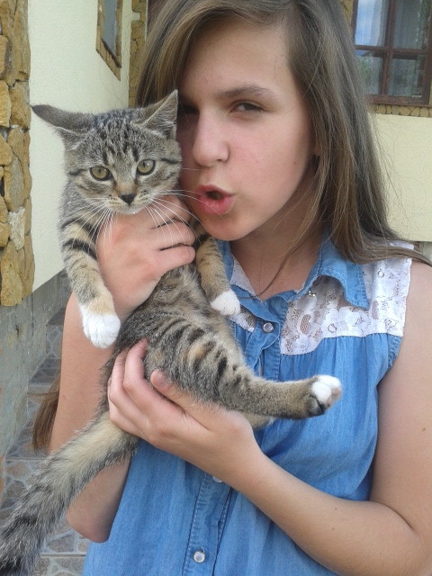 Wpis beeelieeve