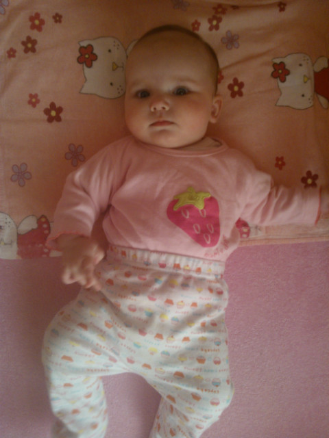Wpis mawitop