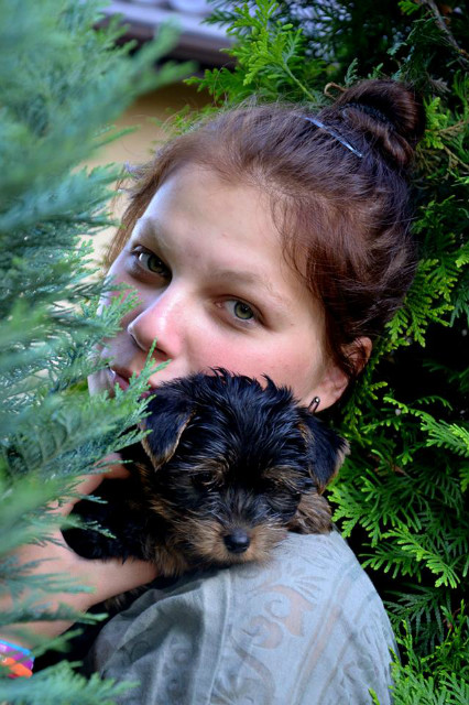 Fifi 