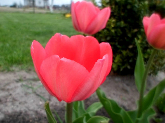 1.