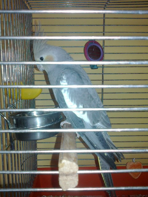 Rico ;p
