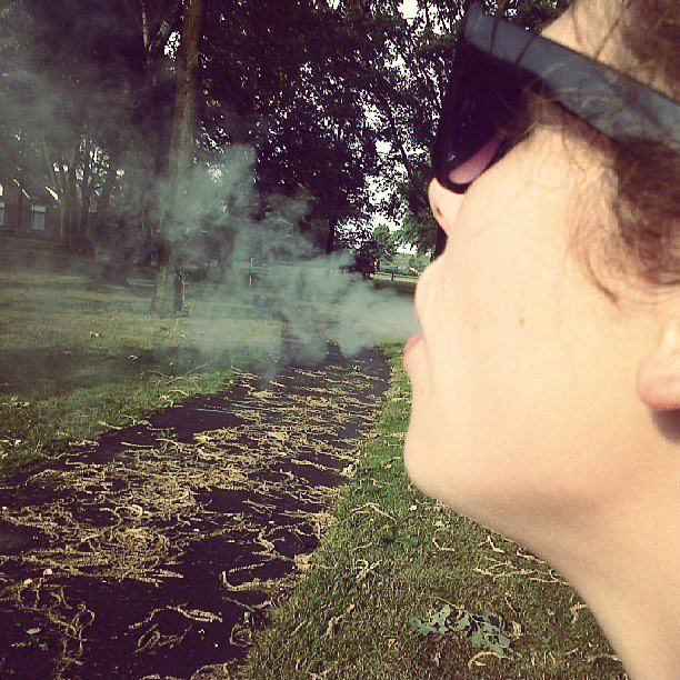 pale stale *.*