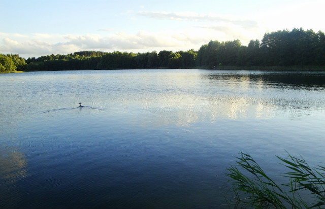 Mazury 