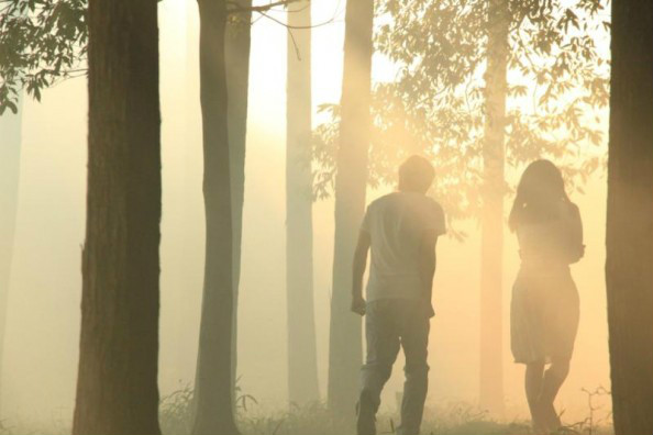 Norwegian Wood
