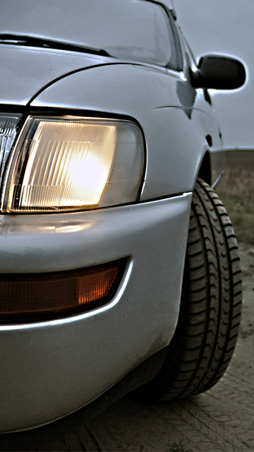 Wpis pusstang