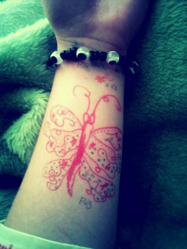 butterfly project.