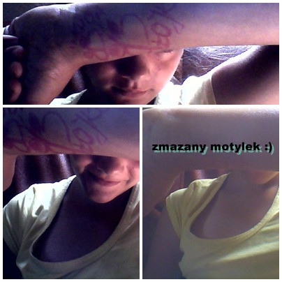 BUTTERFLY PROJECT.