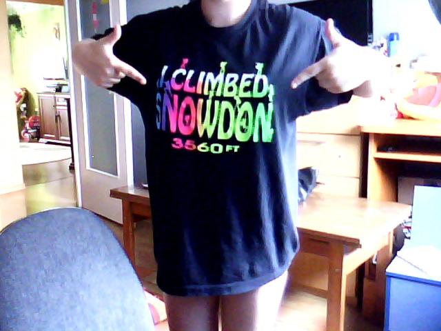Snowdon.