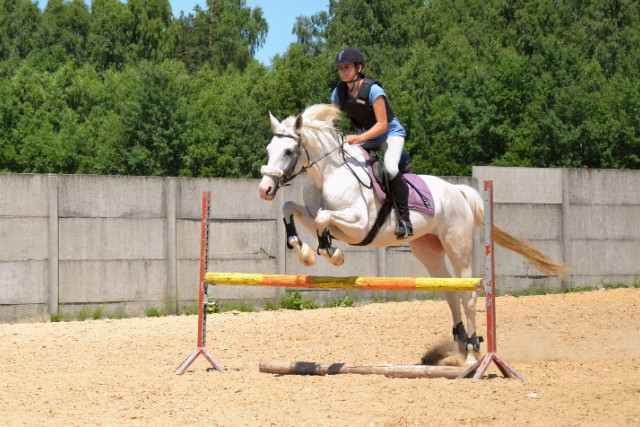 Wpis hoofbeats