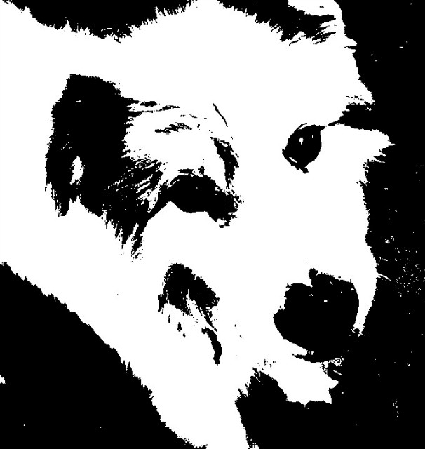 Maksiu