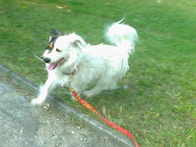 Michu< 3