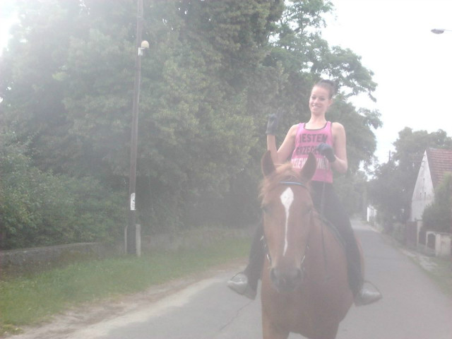 Wpis patrunka