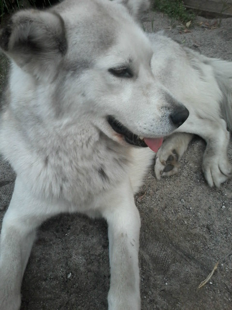Atos ;D