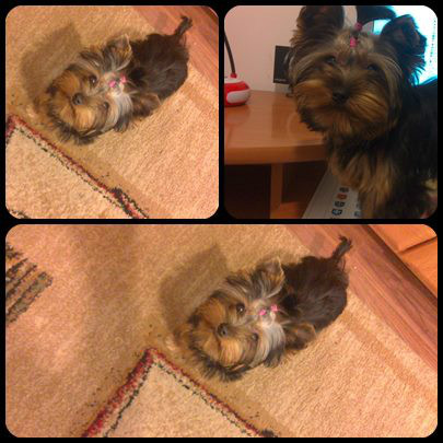 Moje kochanie ;3 