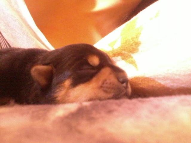 May sodziak . :*