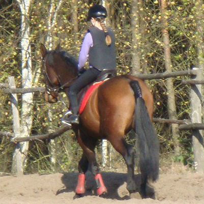 Wpis horsiak321