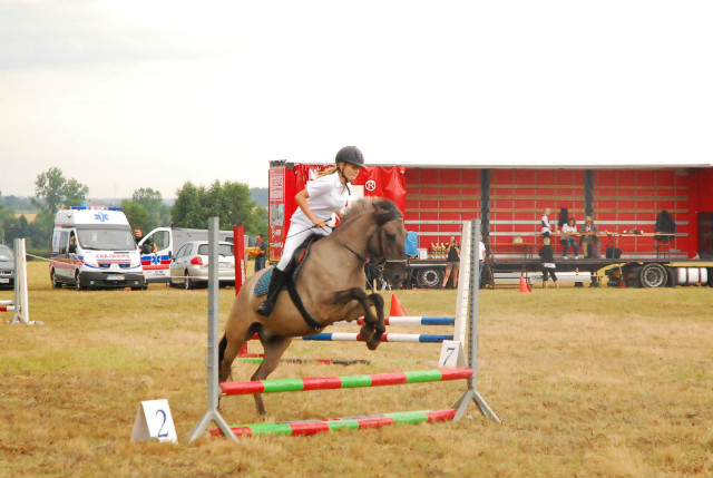Baranw 2013:)