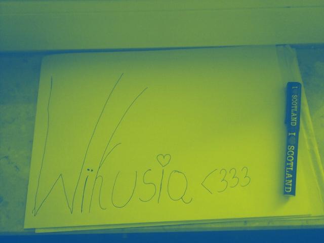 Wpis wikulek10